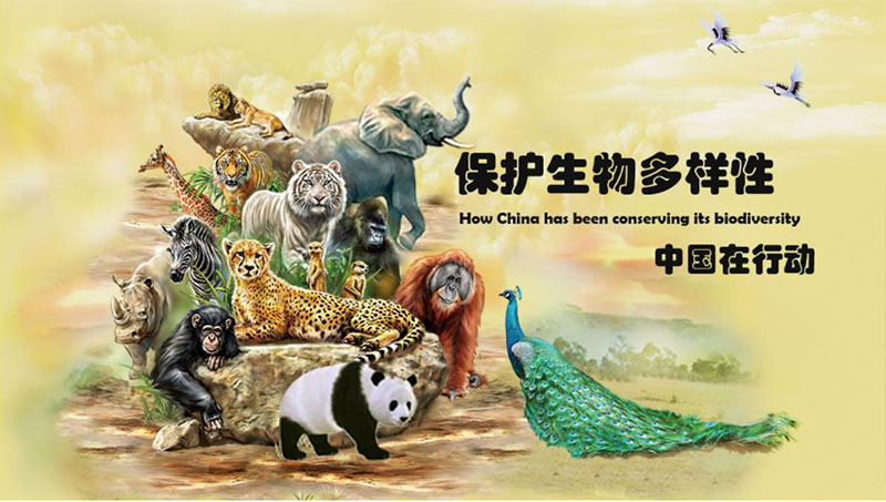 生物多样性的保护中国在行动.jpg